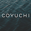 coyuchi.com