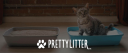 Prettylittercats.com